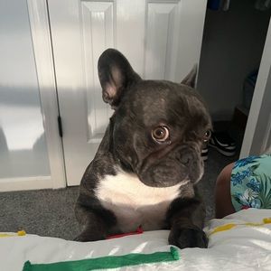 Meet your Posher, Brian